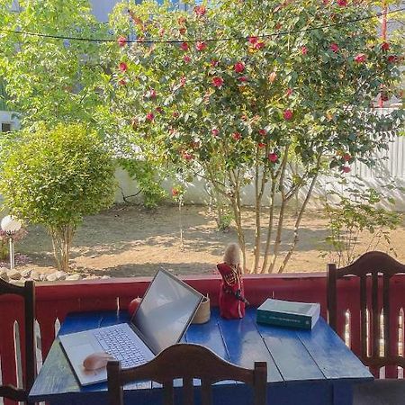 Cottage Коттеджи С Балконом Kobuleti Eksteriør billede